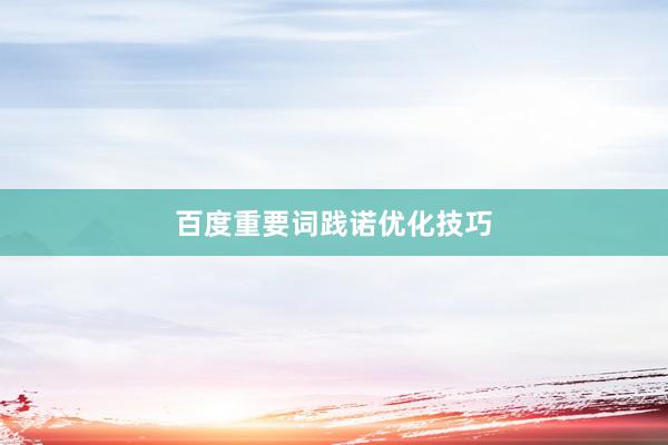 百度重要词践诺优化技巧