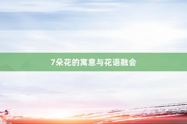 7朵花的寓意与花语融会